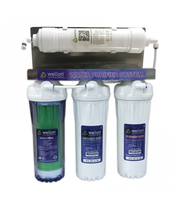 Wellon 20 LPH Household Antioxidant Alkaline Anti-bacterial Anti-ageing(AAAA) + UF Water Purifier System